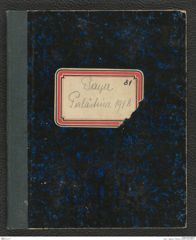 Seite 1, Tagebuch "Palästina" (NHMW-PRAE-BBB-81)